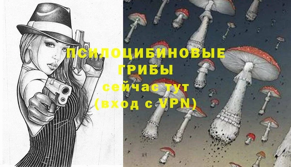 сатива Алексин