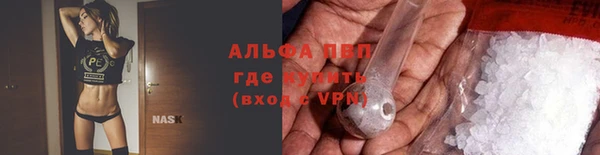 сатива Алексин