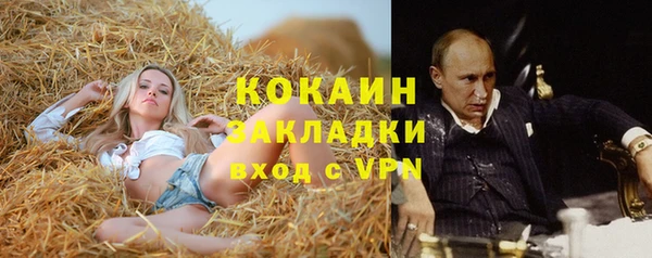молекула духа Алзамай